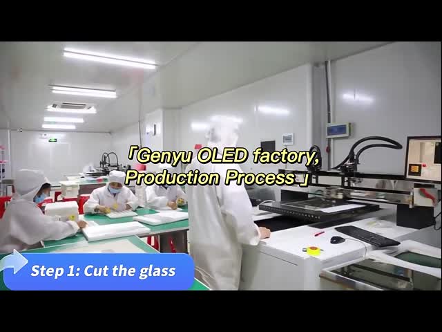China Shenzhen Genyu Optical Co., Ltd. Perfil de la empresa