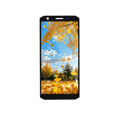 Un buen precio. 5.45 pulgadas TFT LCD Modulo de pantalla 720x1440 Interfaz MIPI en línea